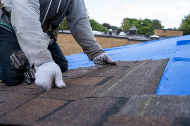 Best Commercial Roofing Services  in Tuscumbia, AL