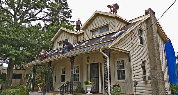 Best Roof Restoration Services  in Tuscumbia, AL